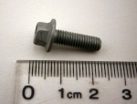 SCREW M5 X 15MM FLANGED HEAD 