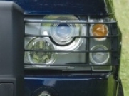 Light Guards